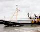 Trawler Gilnetter No 1105