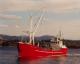 General Cargo Vessel 264 TDW